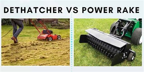 Power Rake vs Dethatcher: Differences + How They Work | CrabgrassLawn