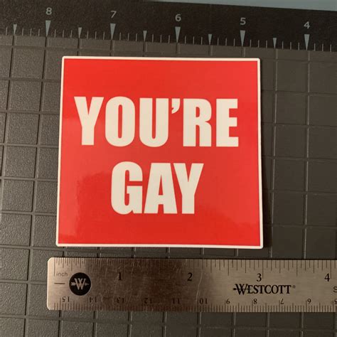 NEW You Re Gay Sticker Funny Decals Premium Laminated Vinyl UV And Water Resistant Prank Sticker