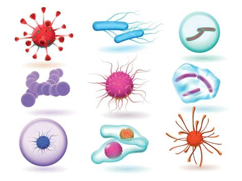 Realistic 3d Microbiology Bacteria Various Virus Nature Microorganism