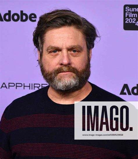 January 20 2024 Park City Ut Usa Zach Galifianakis Attends Winner