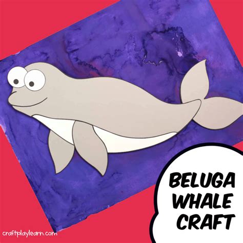 Easy Beluga Whale Craft For Kids - Craft Play Learn By The Inspiration Edit