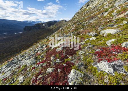 Rapa valley in sarek national park Stock Photo: 84200697 - Alamy