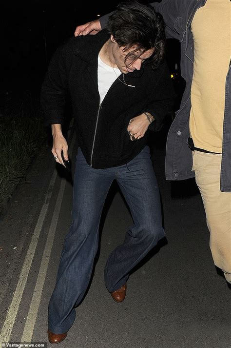 Harry Styles Steps Out For The First Time Since Larry Animated Gay