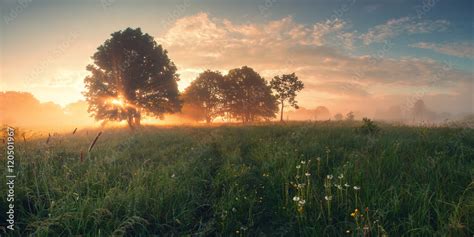 Colorful Spring Sunrise On Meadow Stock Photo Adobe Stock