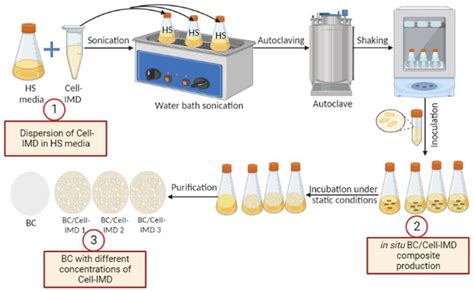 Jfb Free Full Text Bacterial Cellulose Cellulose Imidazolium Bio