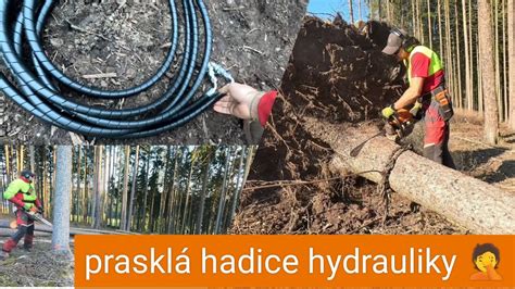 Těžba dřeva Zetor 7245 Agama aga 2 Stihl Ms 440 jpforest8882 YouTube