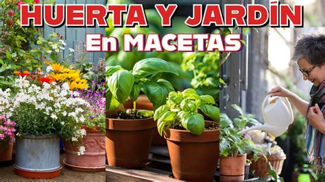 Consejos Esenciales Para Cuidar Tu Huerto En Macetas Menudo Jardin