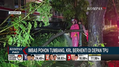 Imbas Pohon Tumbang KRL Tanah Abang Rangkasbitung Berhenti Di Depan