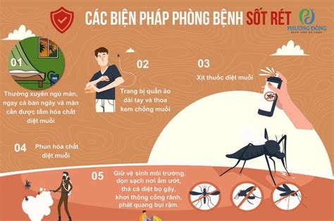 Cách phòng tránh bệnh sốt rét an toàn và hiệu quả bạn cần biết