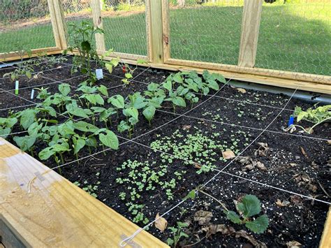 How To Start A Garden From Scratch