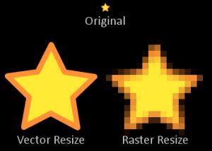 Raster Images vs Vector Graphics - Curotec