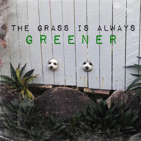 Other Side The Grass Is Always Greener R Fakealbumcovers