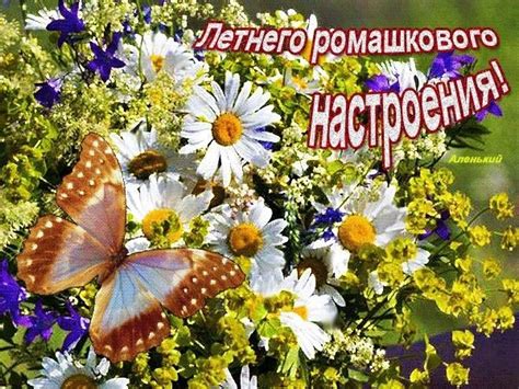 ВОЛШЕБНЫЙ МИР | Мир полон чудес, мир полон радости и счастья, мир полон ...