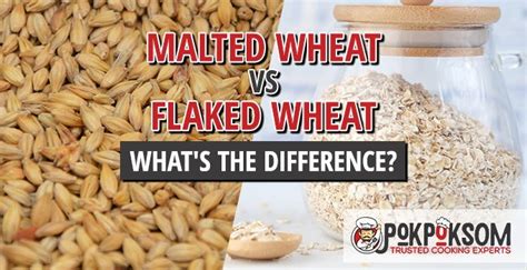 Malted Wheat Vs Flaked Wheat Whats The Difference