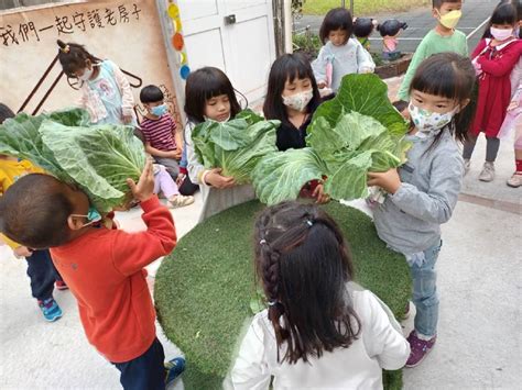 力挺農民 嘉市國中小幼兒園「食」際行動助高麗菜農 兒童月將農業議題融入課程中 奧丁丁新聞 Owlnews