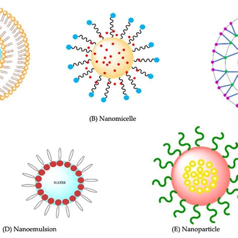 Schematic Representation Of Common Nanocarriers A Liposome B