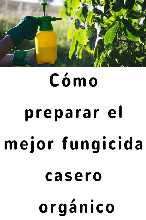 Cómo Preparar El Mejor Fungicida Casero Orgánico Casero Fungicidas Caseros Aditivos Alimentarios