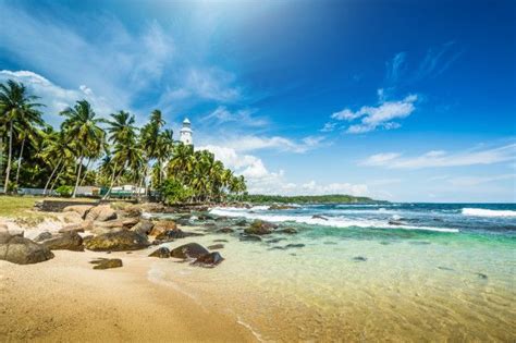 Paisagem De Praia Bonita No Sri Lanka Praia Bonita Sri Lanka De Praia