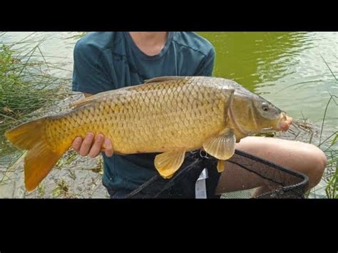 Une magnifique session de pêche YouTube