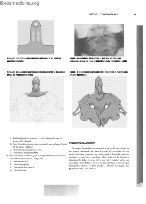 Anatom A Humana En Casos Clinicos Pdf