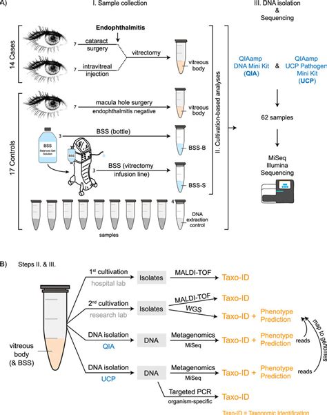 Sample Collection Dna Isolation And Shotgun Metagenomic Sequencing