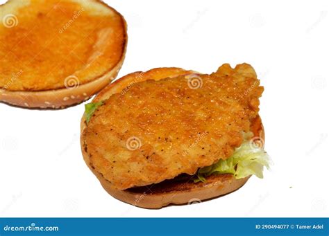 A Delicious Combination Of Fried Breaded Chicken Fillet Patties Crisp