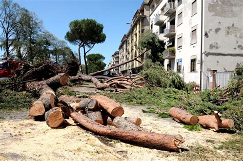 Nubifragio Firenze l esperto del Cnr eventi sempre più frequenti a