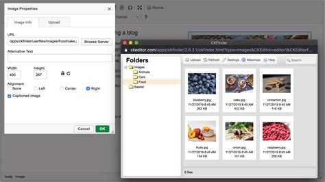 CKFinder Integration CKEditor 4 Documentation