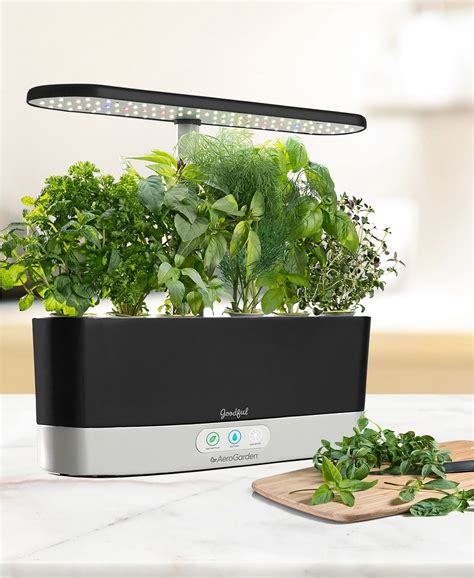 12 Aerogarden Tips For Beginners