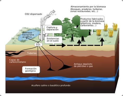 En Qu Consiste La Captura Y El Almacenamiento De Carbono Para Luchar