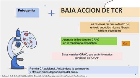 13 LINFOCITO DESNUDO en inmunologías y alergia pdf pdf