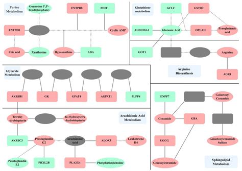 Interactive memorial features are coming to Chronicle death notices 7