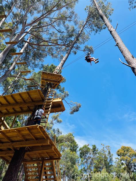 Ended WIN Tickets To TreeClimb Aerial Adventure Park Adelaide