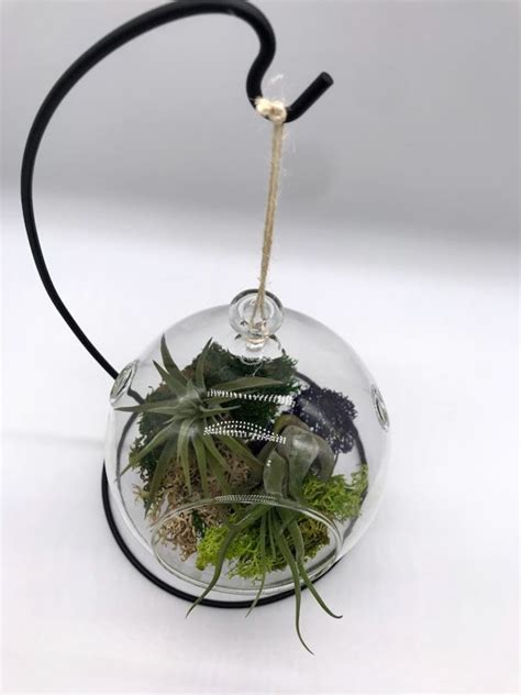 Air Plant Glass Globe W Stand Bulb Hanging Planter Pot Etsy