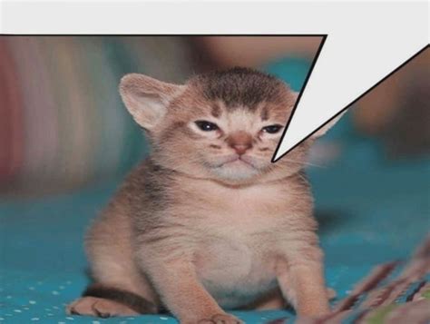 Skye On Twitter My Source Is That I Made It The Fuck Up Https T Co ZHRws RbjV Twitter