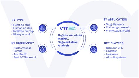 Organs On Chips Market Size Share Trends And Forecast