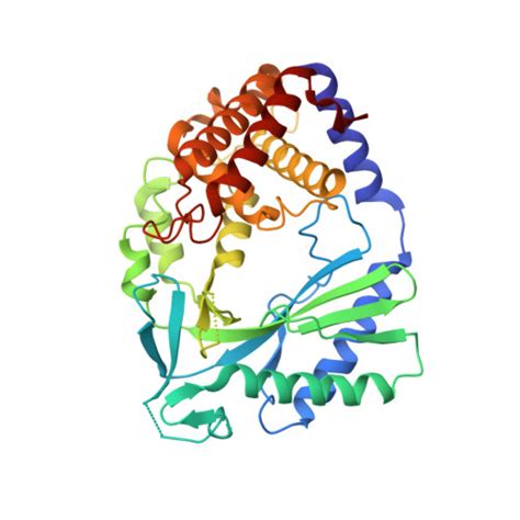 RCSB PDB 7FTL Crystal Structure Of Human Cyclic GMP Synthase In