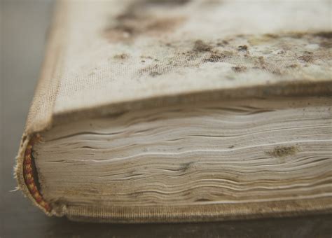 document smoke damage recovery polygon group