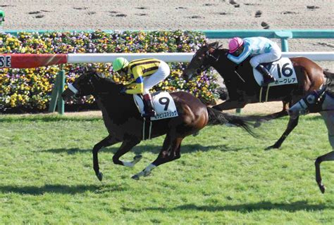 【中山5r・2歳新馬】血統馬ミラビリスマジックが初陣v 国枝調教師「初戦としては味のある内容」 ライブドアニュース