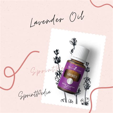 Jual Lavender Yl Oil Original Young Living Shopee Indonesia