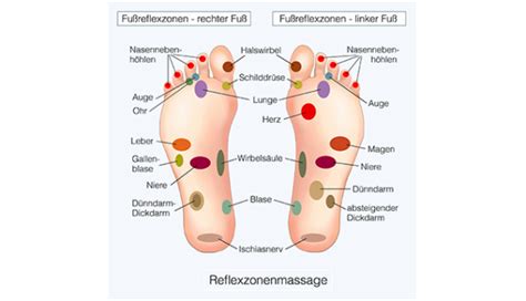 Fußreflexzonenmassage L Spa And Wellnesskurse Kurland Gmbh