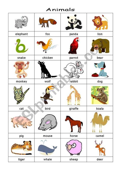 Nouns Gender Animals English Esl Worksheets For Distance Learning And