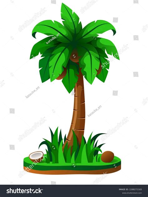 Palm Tree Coconuts Vector Illustration Isolated Stock Vector Royalty