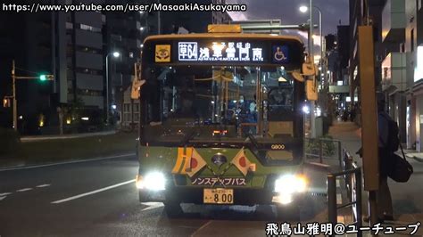 Japanese National Flags Toei Bus Aero Star N V353 And P G800