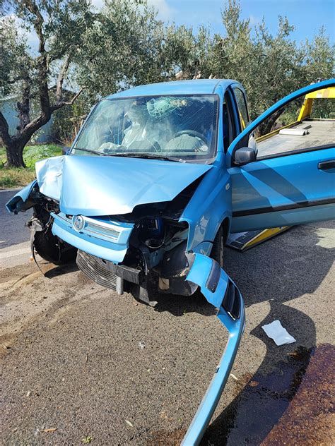 Con Lauto Contro Un Albero Ad Ari Muoiono Marito E Moglie Il