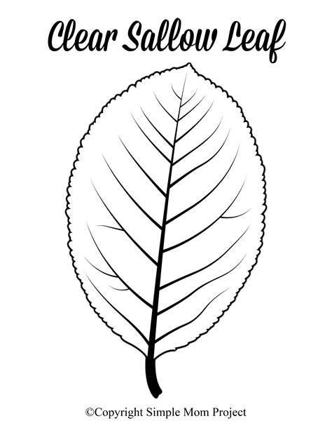 Free Printable Large Leaf Templates Stencils And Patterns Leaf