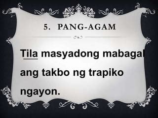 Pang abay na Panang-ayon, pananggi at pang-agam (ACTIVITY) | PPT