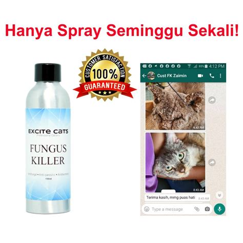 Excite Cats Fungus Killer Vip Ubat Spray Fungus Kucing Ubat Kurap