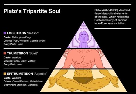 Plato's Tripartite Soul Plato three (428-348 BC) hierarchical ...