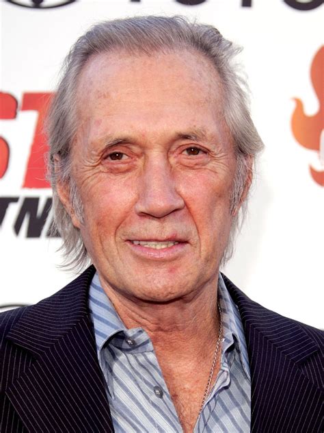 David Carradine Filmografía